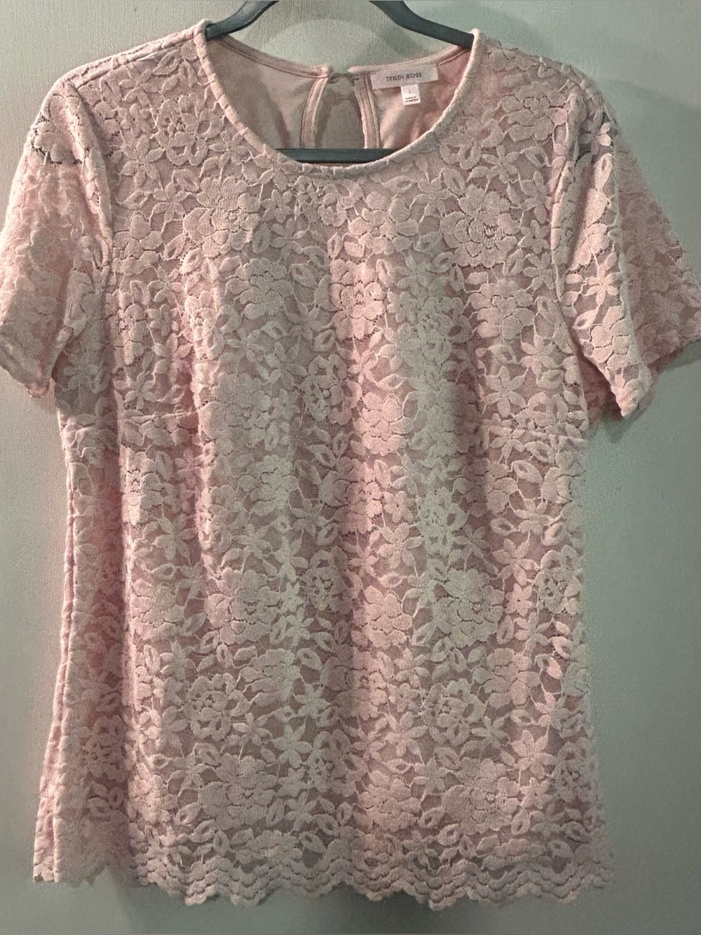 Teddy Rose Lace Short-Sleeve Top in Light Pink Size L